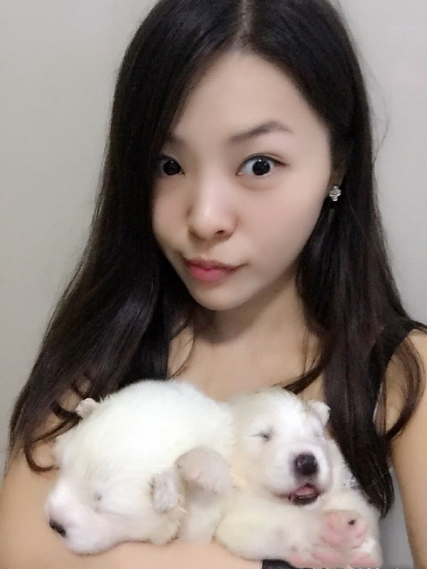 如果可以的第三张照片--广州父母相亲团